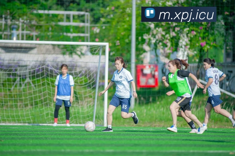 澳门新葡京官网品牌故事