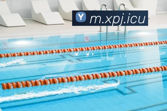 澳门新葡京官网服务体系